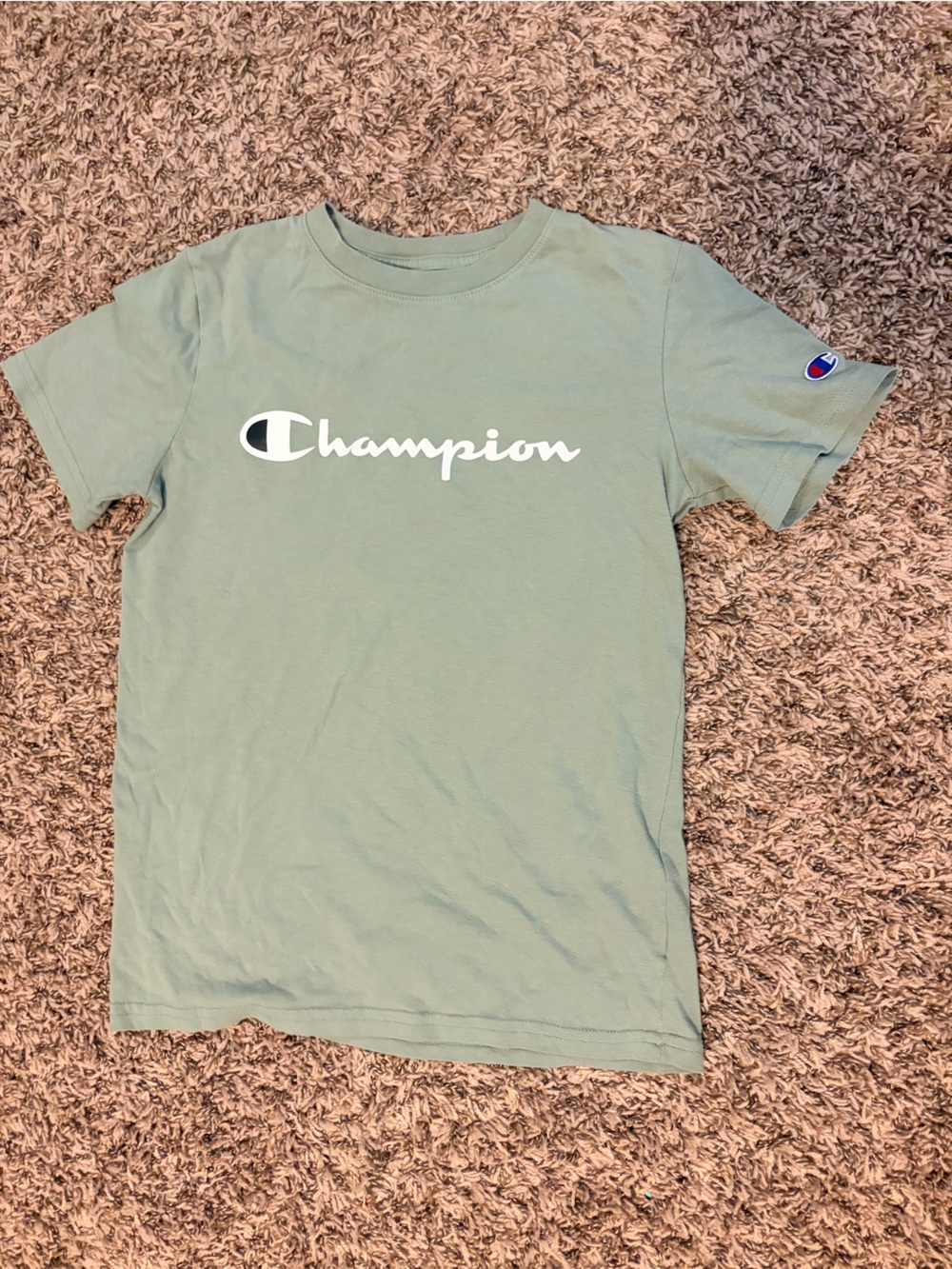 Champion Sage Green Logo Tee with White Script